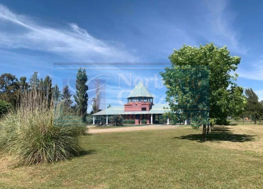 LOTELUJAN